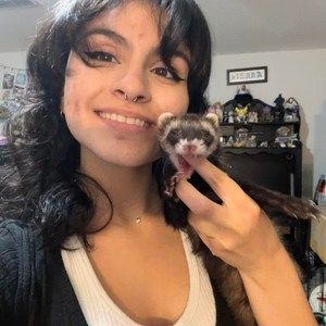 Meet your Posher, Sierra